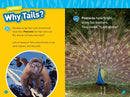 Animal Tails (National Geographic Kids Readers, Level 1/Co-Reader) US - Paperback / softback
