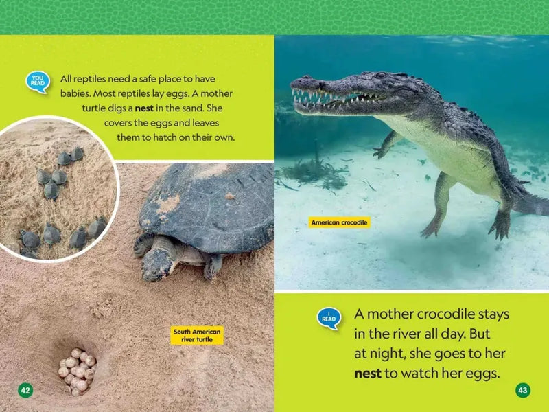 Reptiles (National Geographic Kids Readers, Level 1/Co-Reader) US - Paperback / softback