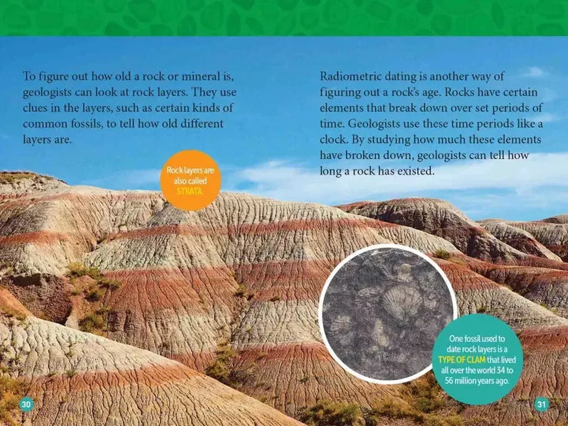 Bling! (National Geographic Kids Readers, Level 3) US - Paperback / softback