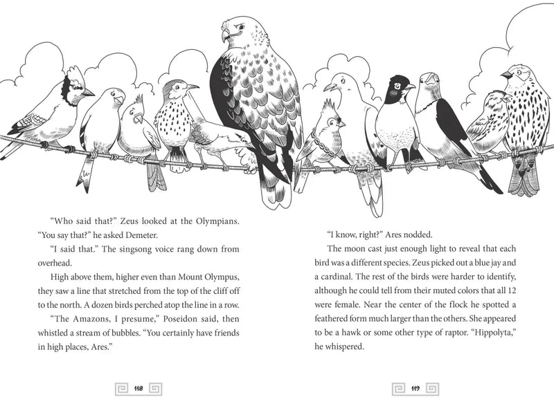 Zeus the Mighty: The Trials of Hairy-Clees (Book 3) US - Hardback (9781426338960)