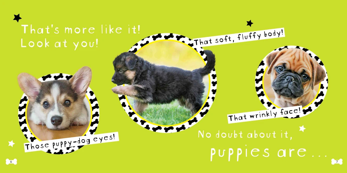 So Cute! Puppies US - Hardback (9781426339066)