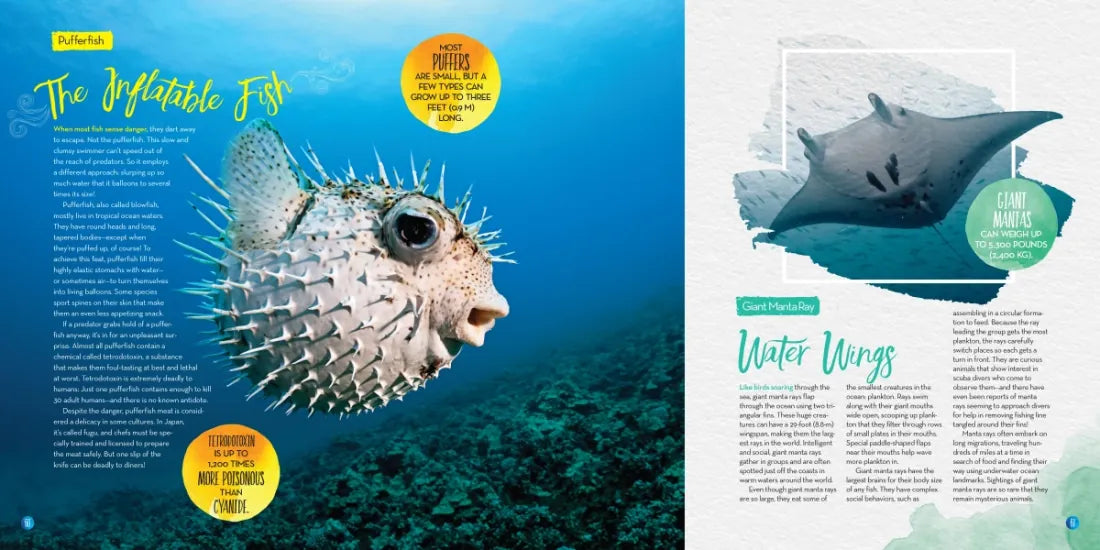 Beneath the Waves US - Hardback (9781426339165)