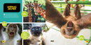 Cutest Animals on the Planet US - Paperback / softback