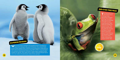 Cutest Animals on the Planet US - Paperback / softback