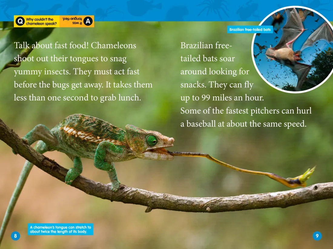 Animal Superpowers (National Geographic Kids Readers, Level 2) US - Paperback / softback