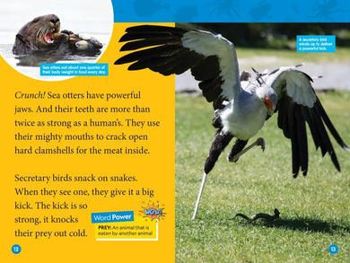 Animal Superpowers (National Geographic Kids Readers, Level 2) US - Paperback / softback