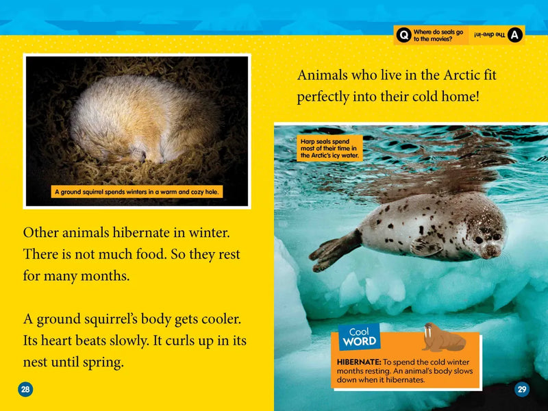 Arctic Animals (National Geographic Kids Readers, Level 2) US - Paperback / softback