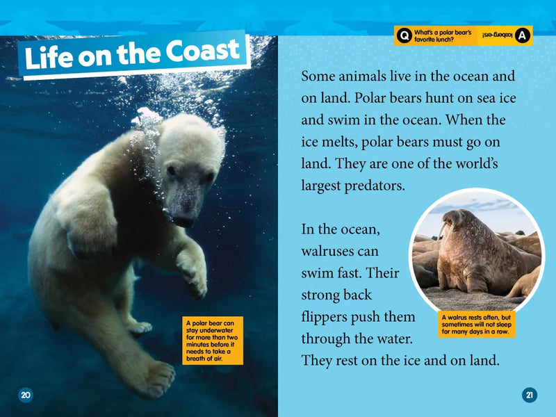 Arctic Animals (National Geographic Kids Readers, Level 2) US - Paperback / softback