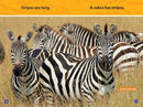 Stripes and Spots (National Geographic Kids Readers, Pre-Reader) US - Paperback / softback