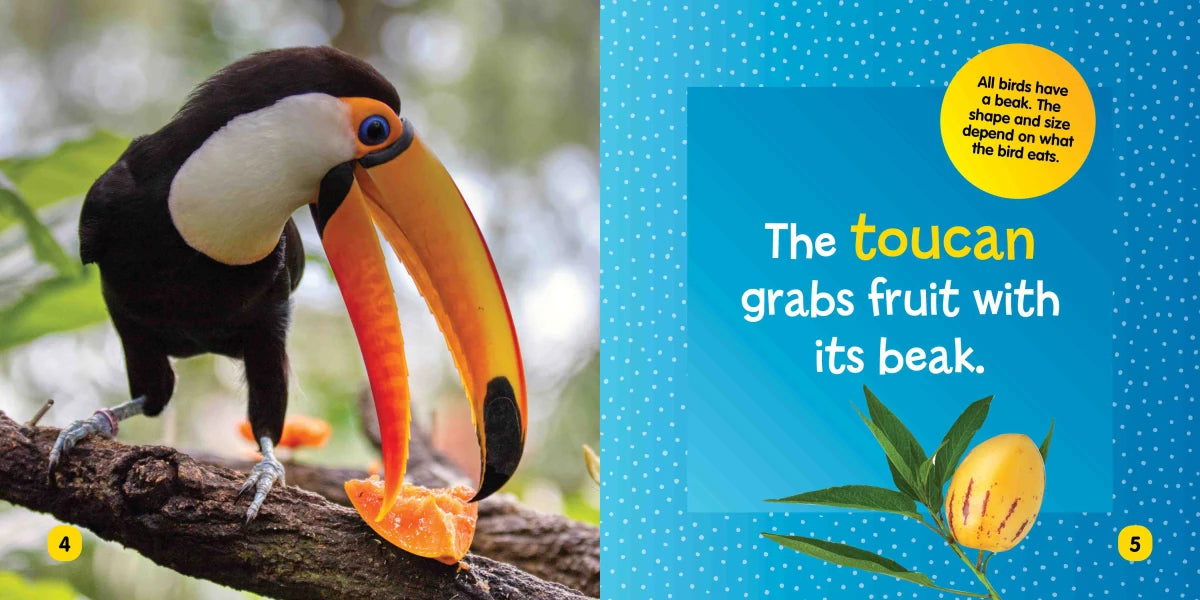 National Geographic Kids Little Kids First Board Book: Birds US - Board book