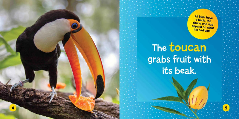 National Geographic Kids Little Kids First Board Book: Birds US - Board book