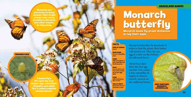 National Geographic Little Kids First Big Book of Baby Animals US - Hardback