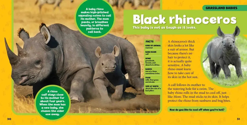 National Geographic Little Kids First Big Book of Baby Animals US - Hardback