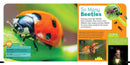 Little Kids First Nature Guide Bugs US - Paperback / softback