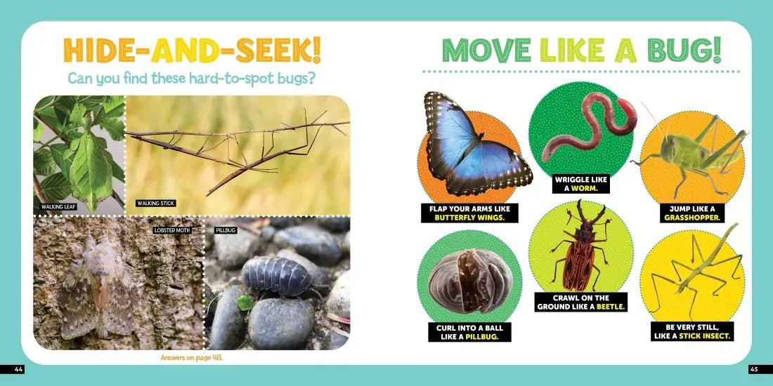 Little Kids First Nature Guide Bugs US - Paperback / softback