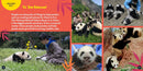 Go Wild! Pandas US - Hardback
