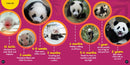 Go Wild! Pandas US - Hardback