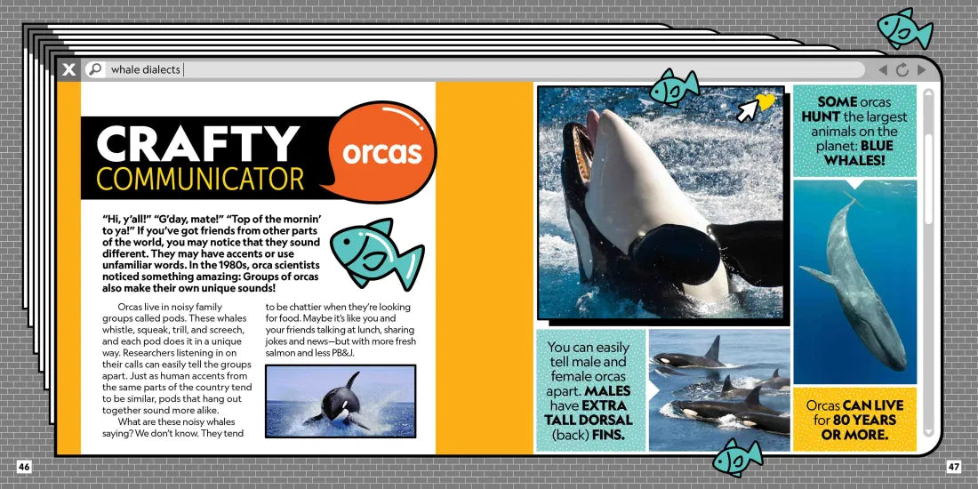 Critter Chat: What If Animals Used Social Media? US - Paperback / softback