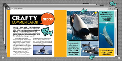 Critter Chat: What If Animals Used Social Media? US - Paperback / softback