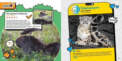 Critter Chat: What If Animals Used Social Media? US - Paperback / softback