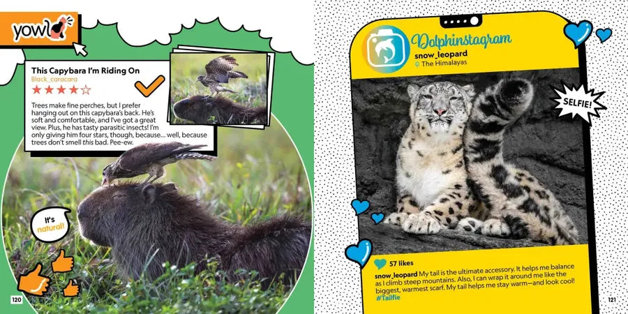 Critter Chat: What If Animals Used Social Media? US - Paperback / softback