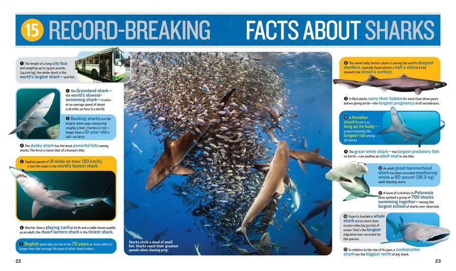1,000 Facts About Sharks US - Hardback (9781426371745)