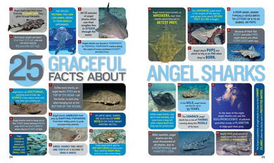 1,000 Facts About Sharks US - Hardback (9781426371745)