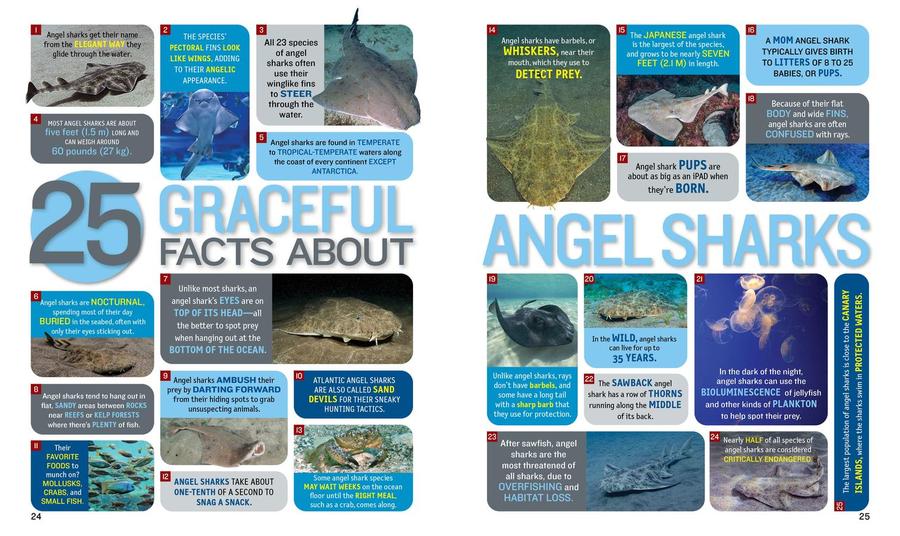 1,000 Facts About Sharks US - Hardback (9781426371745)