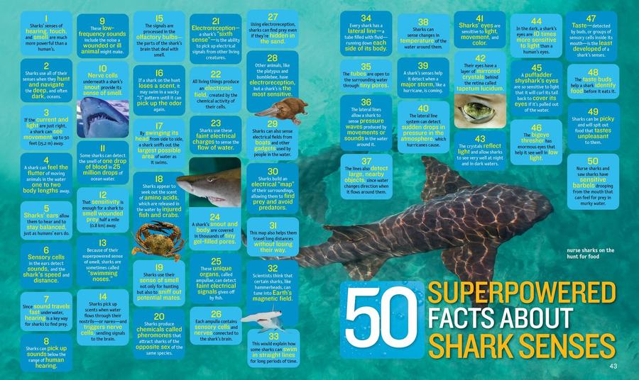 1,000 Facts About Sharks US - Hardback (9781426371745)