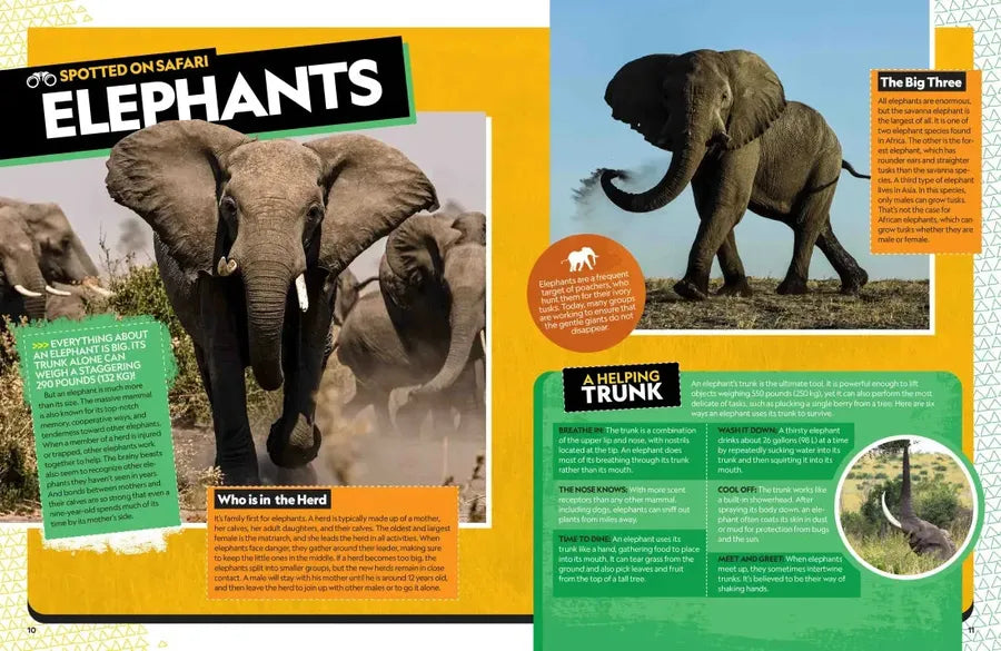 The Ultimate Book of African Animals US - Hardback (9781426371875)