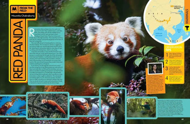 National Geographic Kids Animal Encyclopedia, 2nd Edition US - Hardback