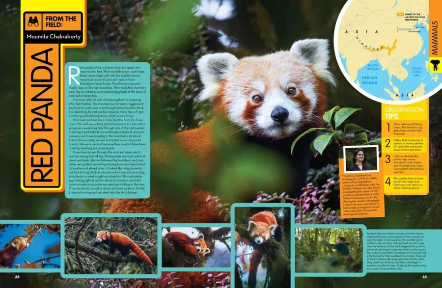 National Geographic Kids Animal Encyclopedia, 2nd Edition US - Hardback