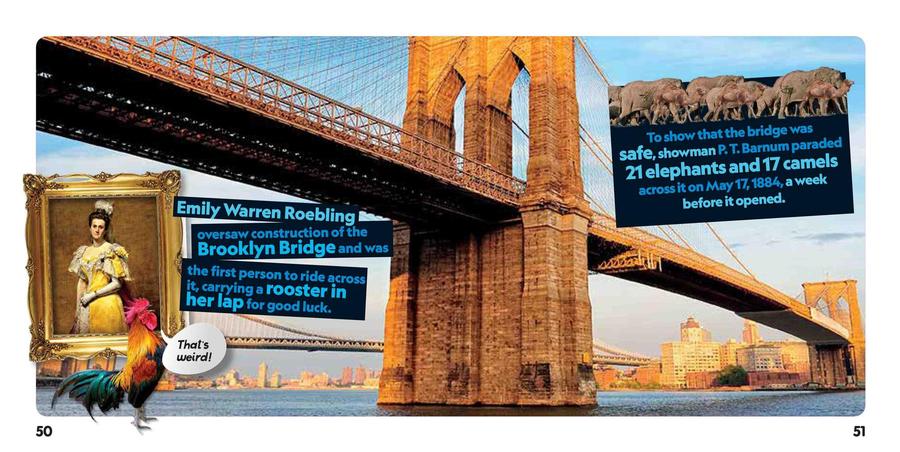 Weird But True! New York City US - Paperback / softback