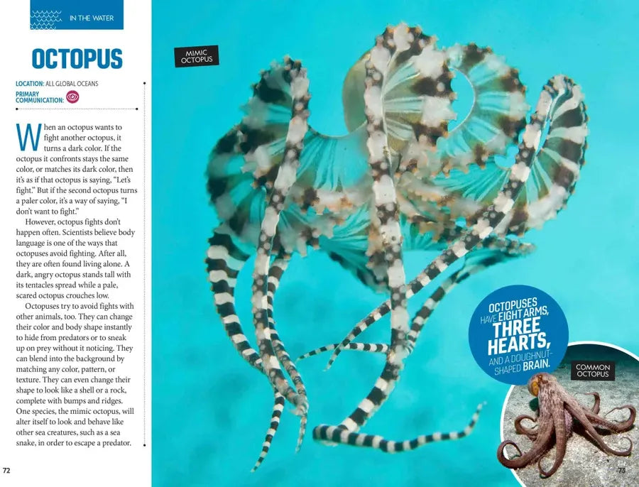 How to Speak Animal US - Paperback / softback