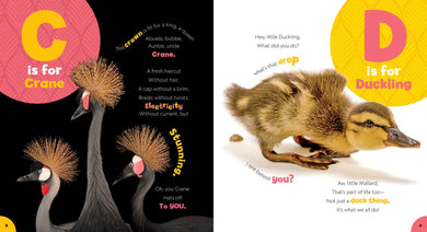 Photo Ark ABC US - Hardback (9781426372469)