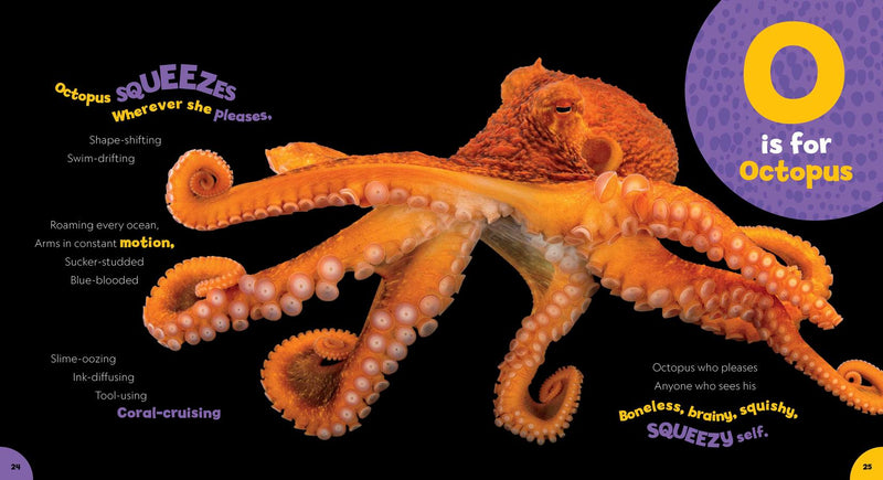 Photo Ark ABC US - Hardback (9781426372469)