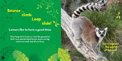 Go Wild! Lemurs US - Hardback (9781426372544)