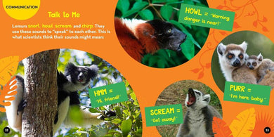 Go Wild! Lemurs US - Hardback (9781426372544)