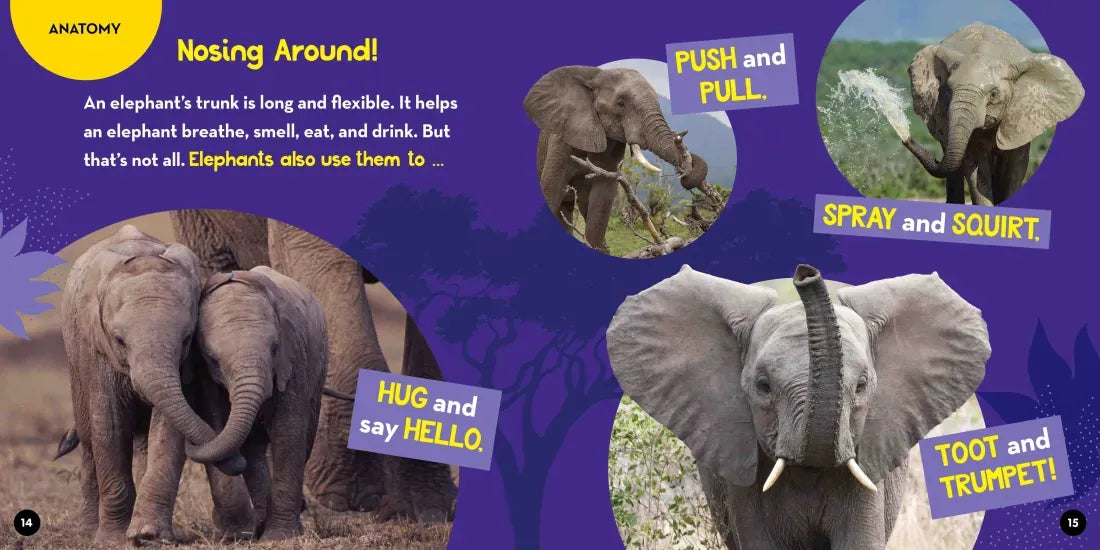 Go Wild! Elephants US - Hardback (9781426372568)