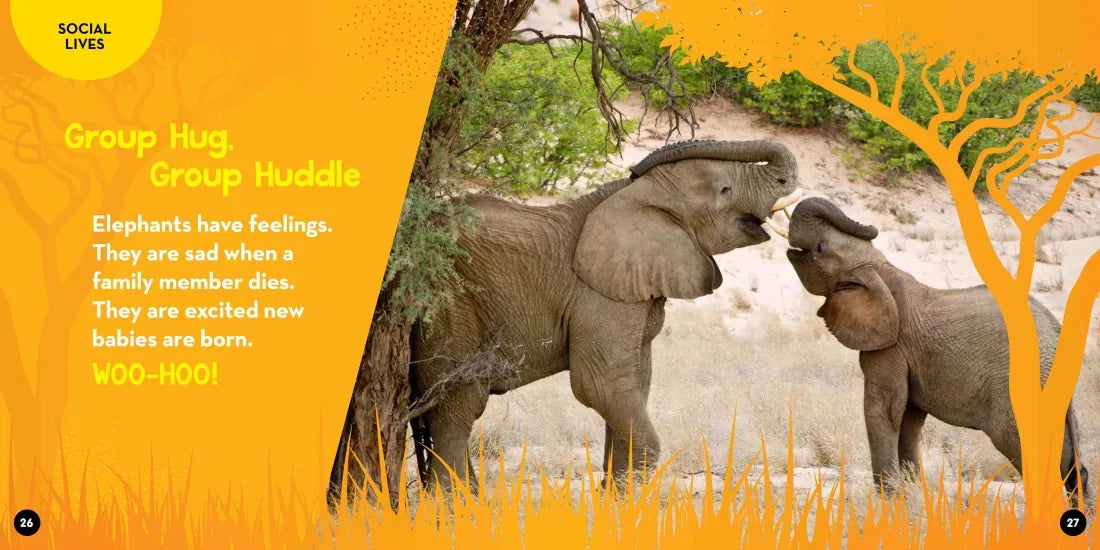 Go Wild! Elephants US - Hardback (9781426372568)