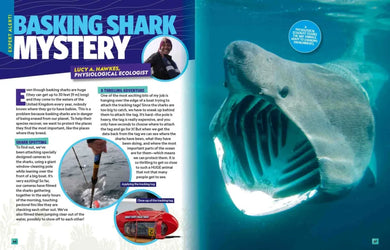 Can't Get Enough Shark Stuff US - Paperback / softback