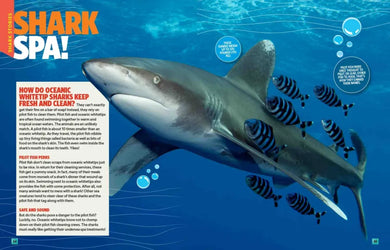 Can't Get Enough Shark Stuff US - Paperback / softback