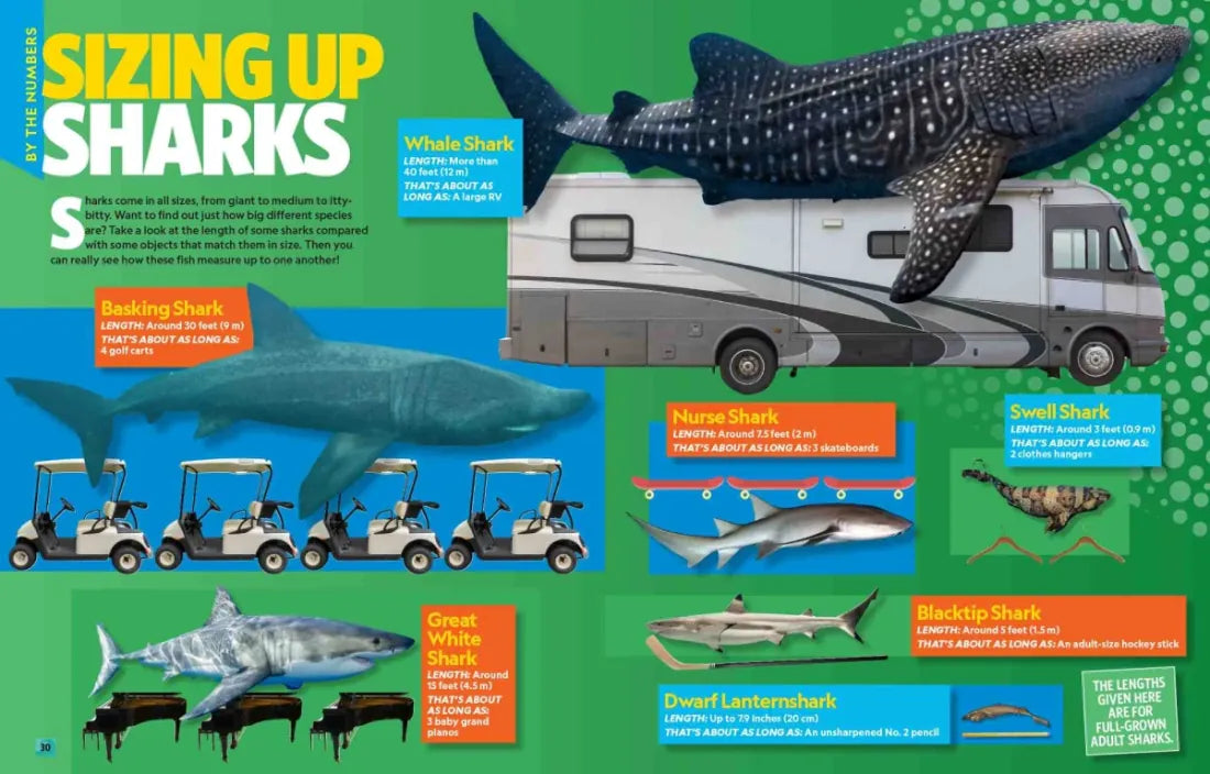 Can't Get Enough Shark Stuff US - Paperback / softback