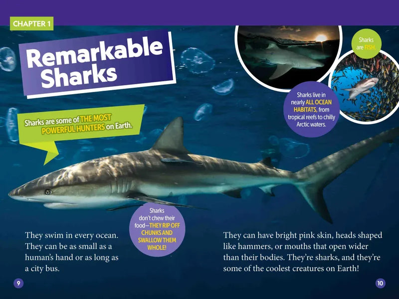 Sharks! (National Geographic Kids Readers, Level 2) US - Paperback / softback