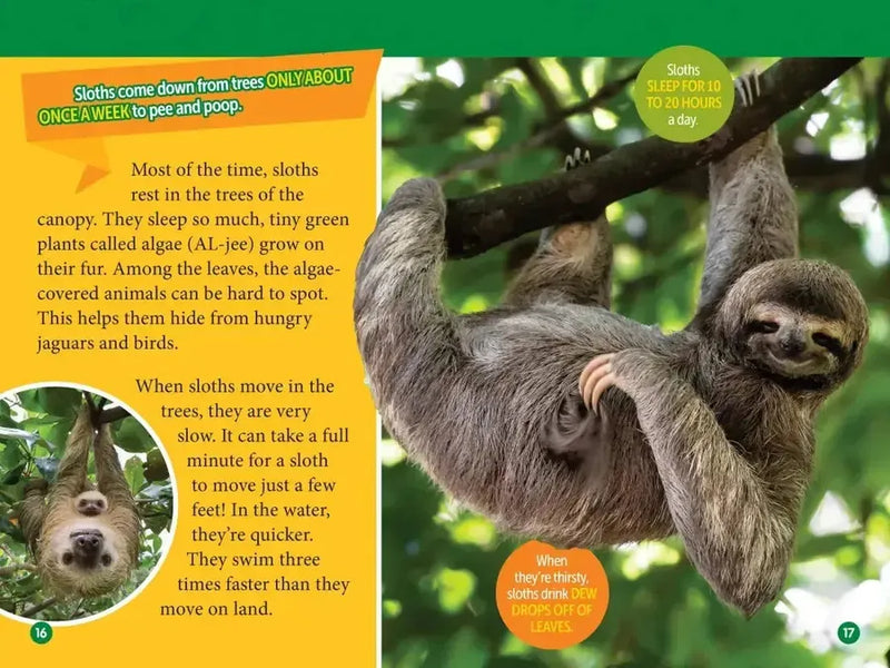 Amazon Animals (National Geographic Kids Readers, Level 3) US - Paperback / softback