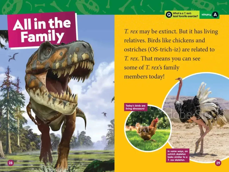 T. rex (National Geographic Kids Readers, Level 1) US - Paperback / softback