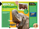 National Geographic Kids Why? Animals US - Paperback / softback
