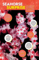 The Big Book of W.O.W. US - Hardback (9781426372773)