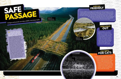 The Ultimate Book of Big Cats US - Hardback (9781426373190)