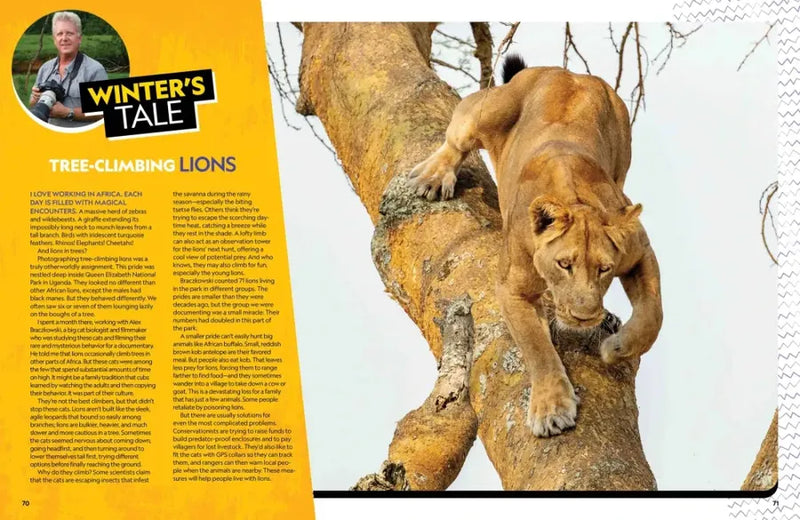 The Ultimate Book of Big Cats US - Hardback (9781426373190)